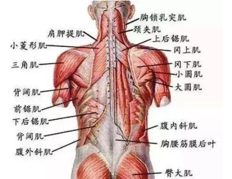 錘正療法,錘正療法工具,錘正療法培訓