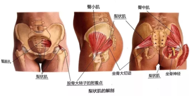 錘擊療法,錘擊療法工具,錘擊療法培訓