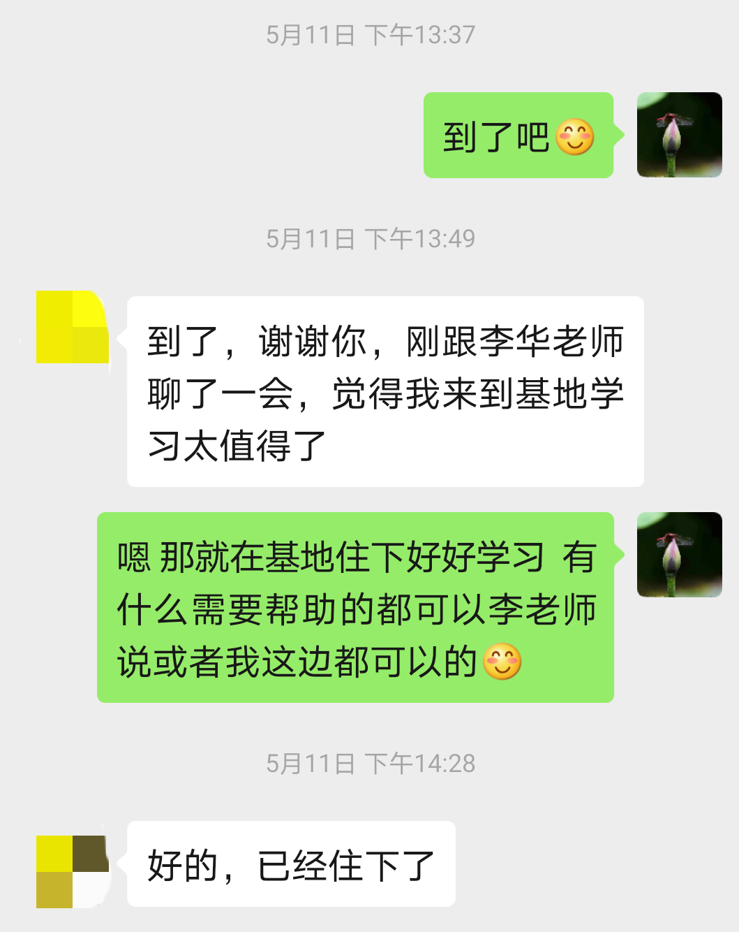 錘正療法,錘正療法工具,錘正療法培訓